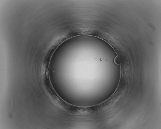 X0000113210742200909171534