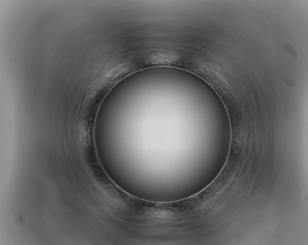 X0000113210743200909171534