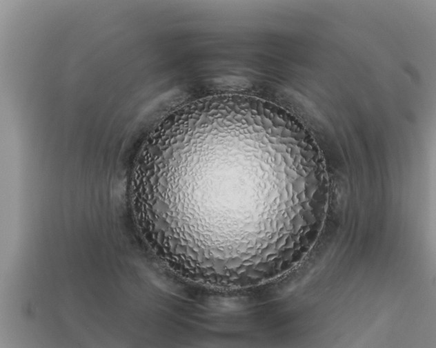 X0000113210745200909171534