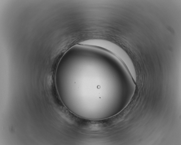 X0000113210746200909171534