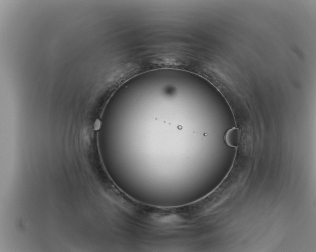 X0000113210747200909171534