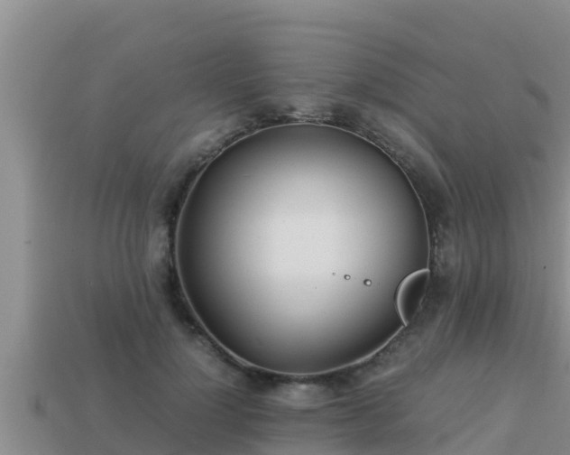 X0000113210748200909171534