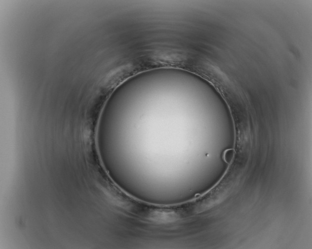 X0000113210749200909171534