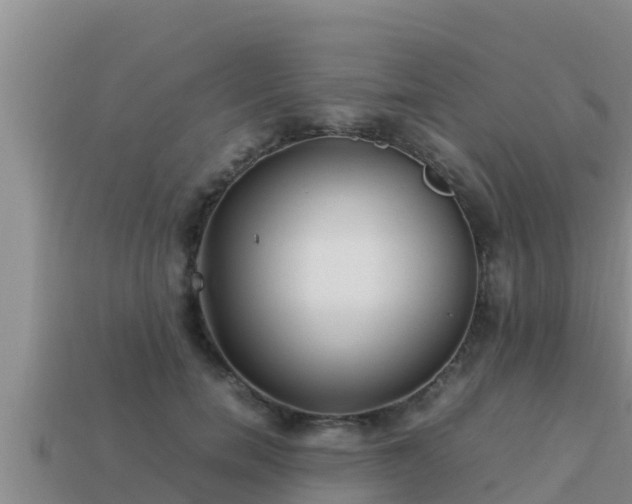 X0000113210750200909171534