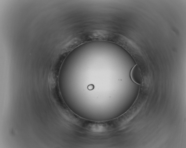 X0000113210751200909171534