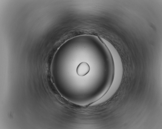 X0000113210752200909171534