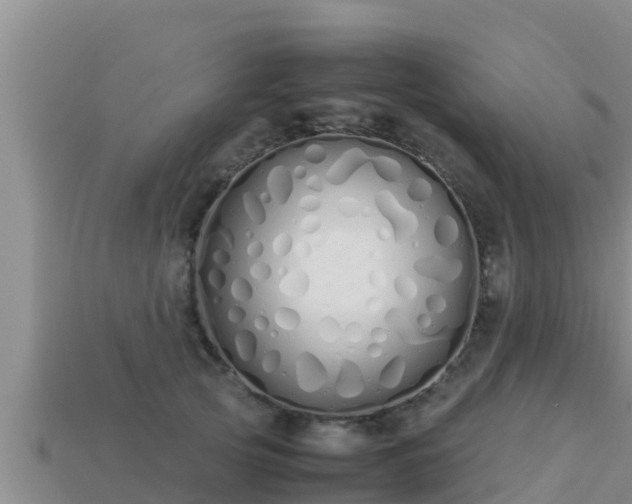 X0000113210753200909171534