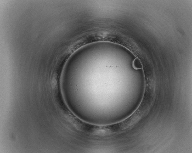 X0000113210754200909171534