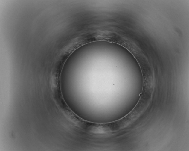 X0000113210755200909171534