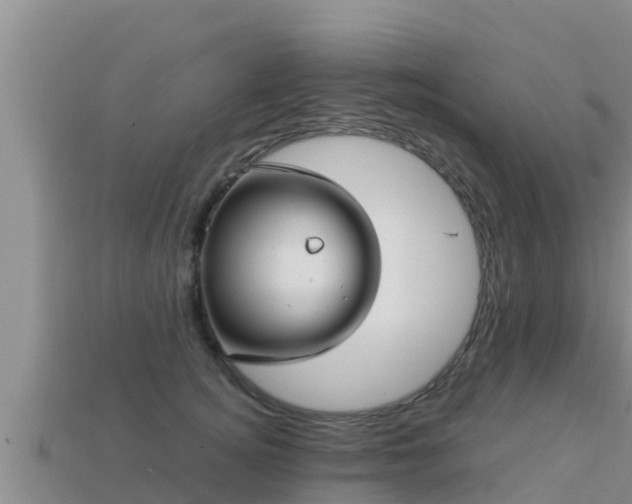 X0000113210756200909171534