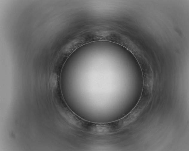 X0000113210758200909171534