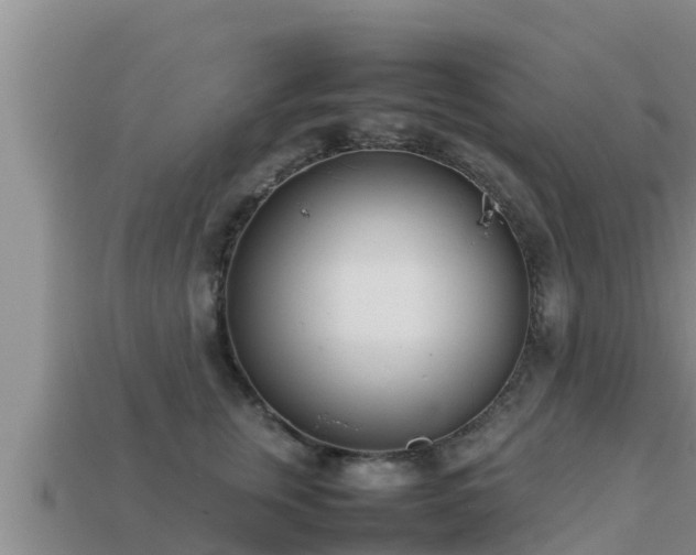 X0000113210759200909171534