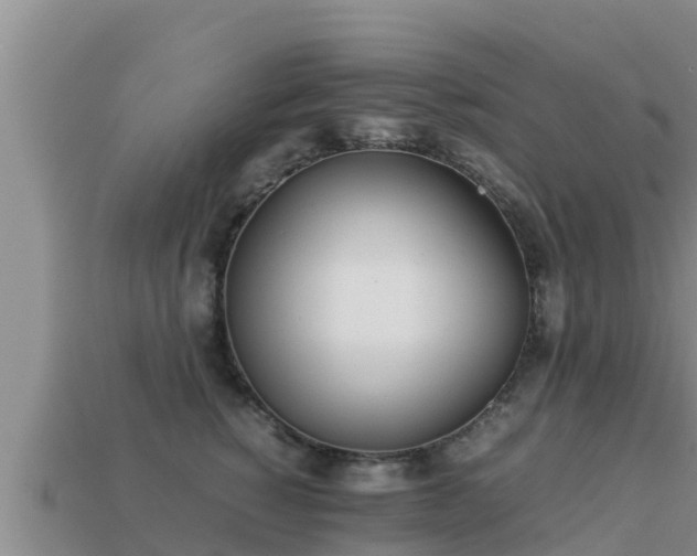 X0000113210760200909171534