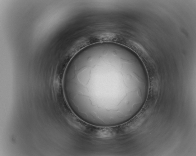 X0000113210761200909171534