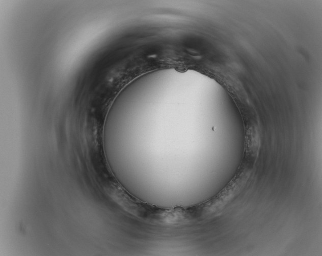 X0000113210762200909171534