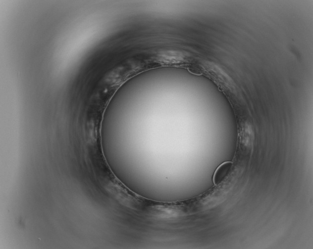 X0000113210763200909171534