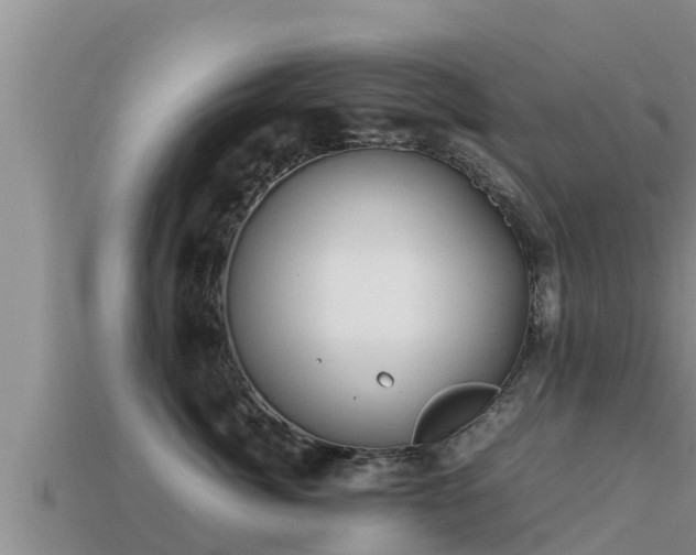 X0000113210764200909171534