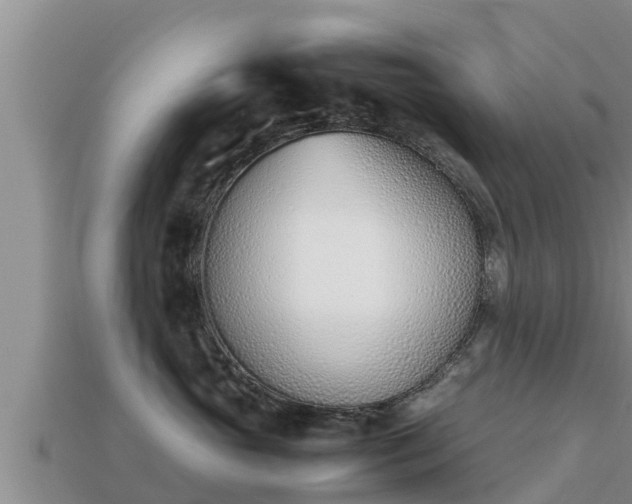 X0000113210765200909171534