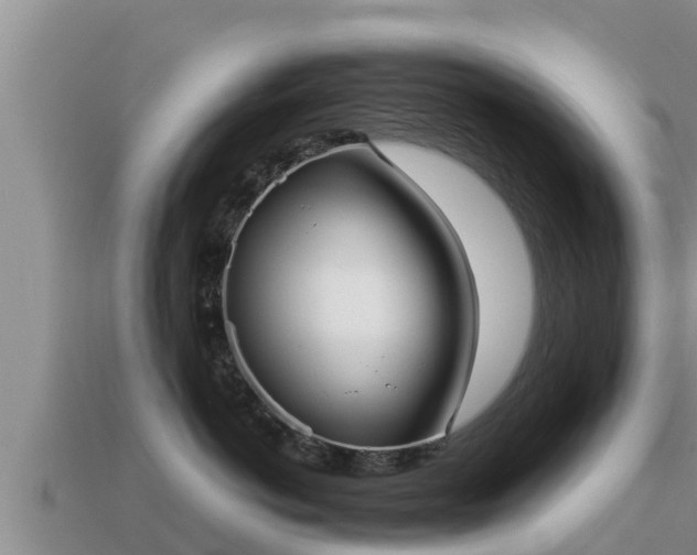 X0000113210766200909171534