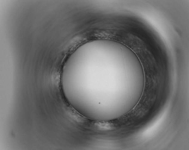 X0000113210767200909171534