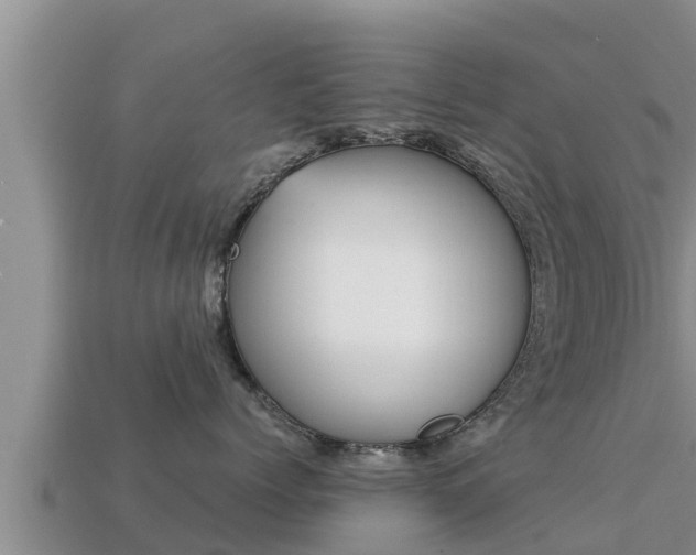 X0000113210768200909171534