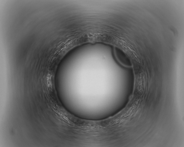 X0000113210770200909171533