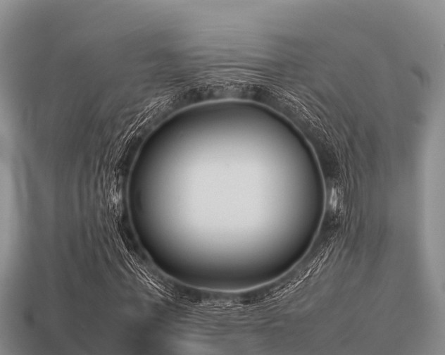 X0000113210771200909171533