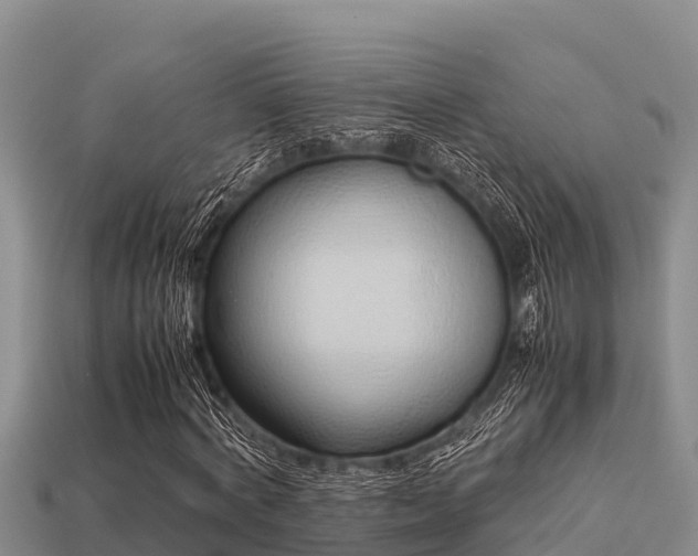 X0000113210772200909171533