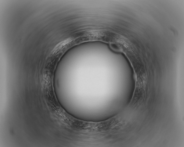 X0000113210773200909171533