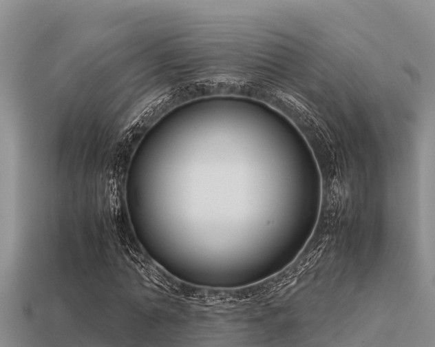 X0000113210774200909171533