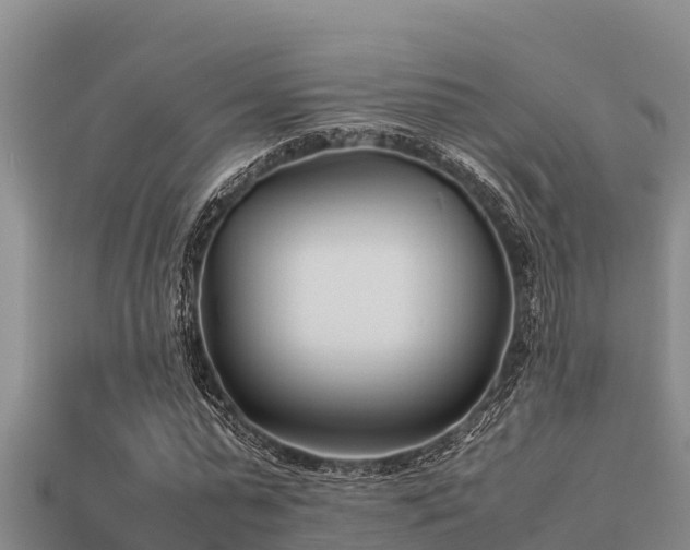 X0000113210775200909171533