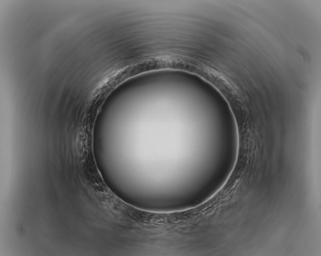 X0000113210776200909171533