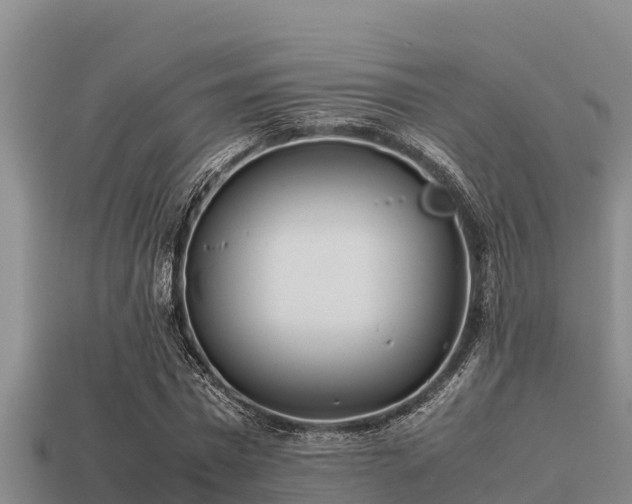 X0000113210777200909171533