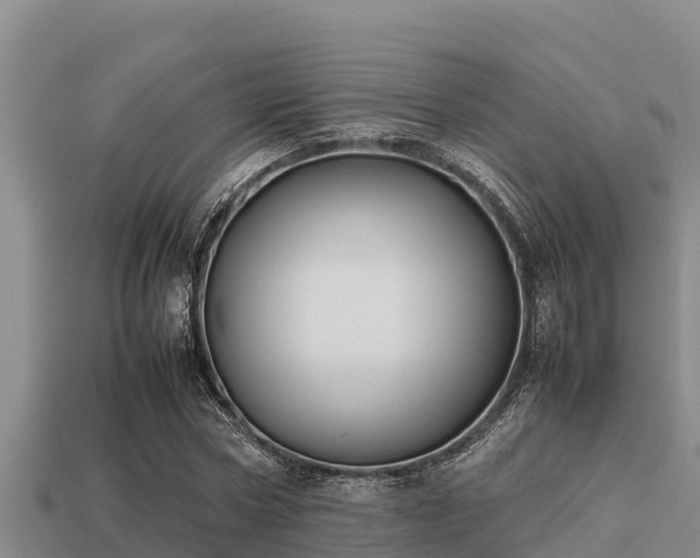 X0000113210778200909171533