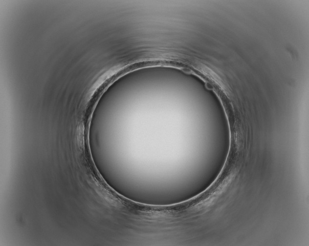 X0000113210781200909171533