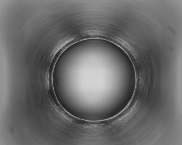 X0000113210782200909171533