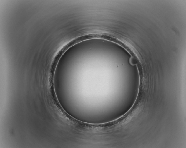 X0000113210783200909171533