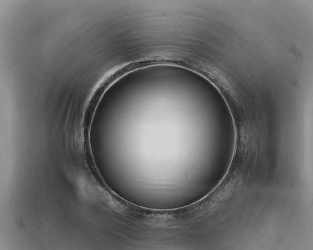 X0000113210784200909171533