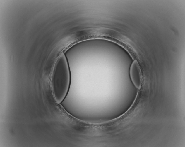 X0000113210785200909171533