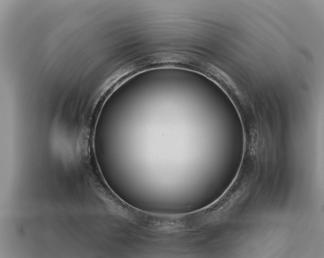 X0000113210786200909171533