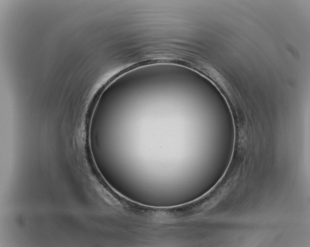 X0000113210787200909171533