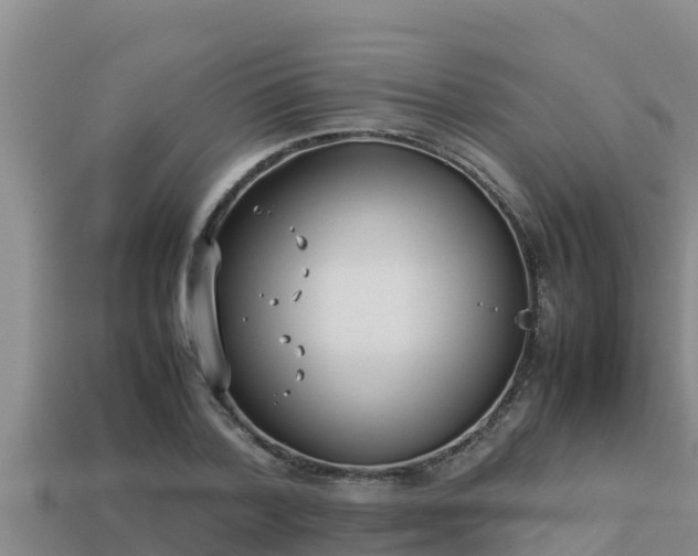 X0000113210788200909171533