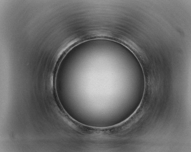 X0000113210790200909171533