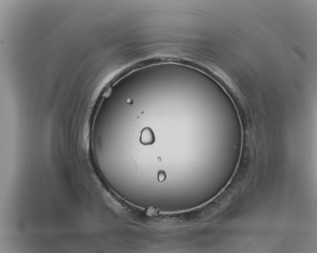 X0000113210791200909171533