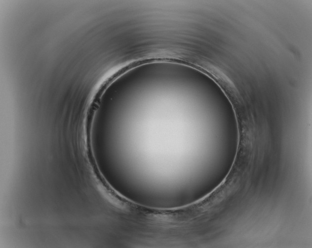 X0000113210792200909171533