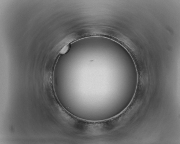 X0000113210793200909171533