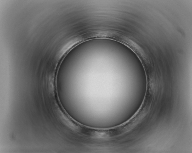 X0000113210794200909171533