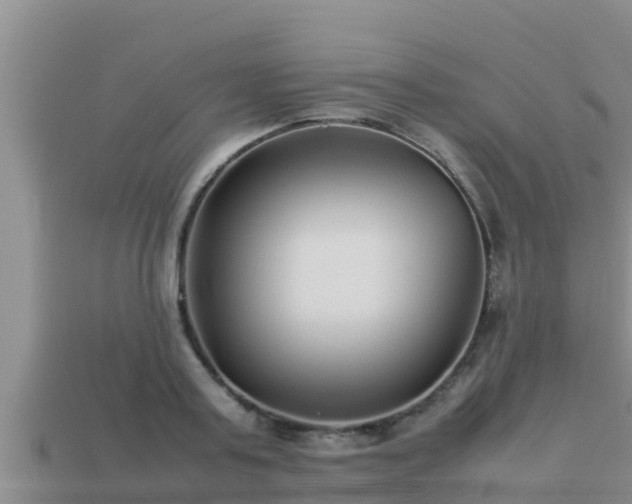 X0000113210795200909171533