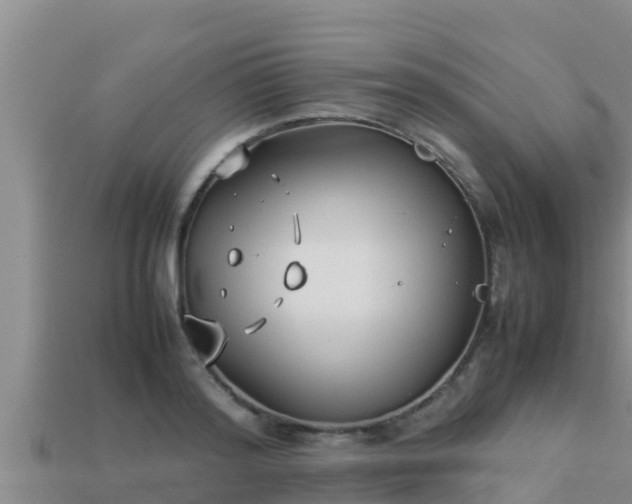 X0000113210796200909171533