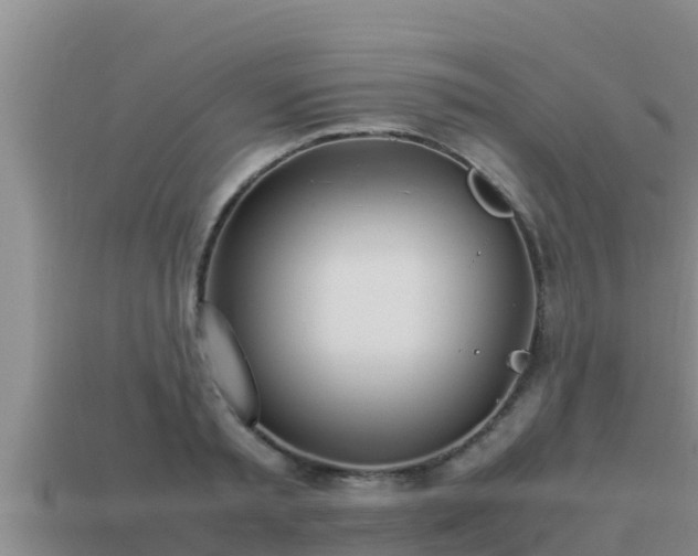 X0000113210797200909171533